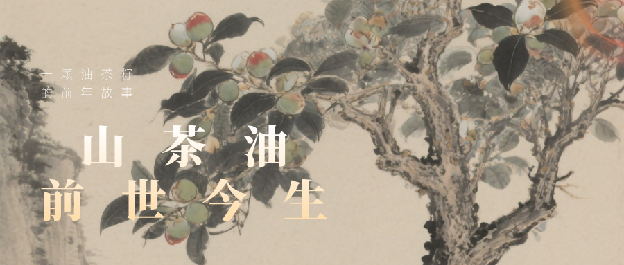 2024澳门原料网大全下载